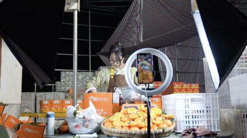 temu狂奔,正在抬高拼多多的增長(zhǎng)天花板