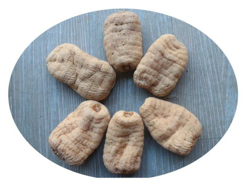 雷山縣烏桿天麻種植標準化示范區建設