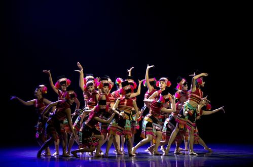 紅河州2024年第三屆群眾文化白鷴獎(jiǎng)文藝匯演圓滿(mǎn)落幕，展現(xiàn)民族文化藝術(shù)新風(fēng)采